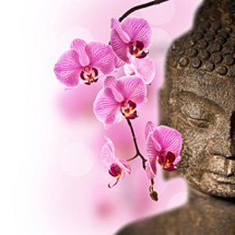 Buddha and orchid
